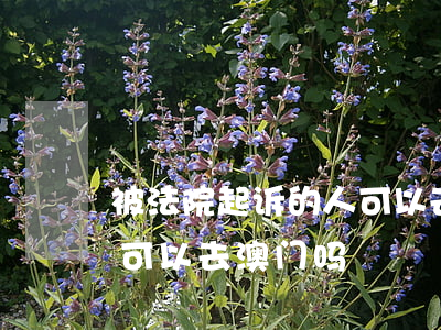 被法院起诉的人可以去澳门吗(法院被执行人可以去澳门吗) 被法院起诉的人可以去澳门吗(法院被执行人可以去澳门吗)