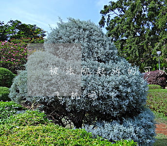 被法院起诉的可以坐飞机吗(被法院执行能坐飞机吗)