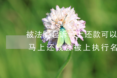 被法院起诉马上还款可以吗(被法院起诉后就马上还钱会被上执行名单吗)