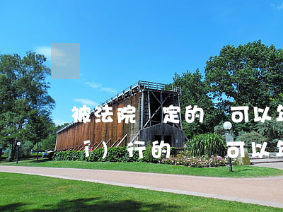 被法院鎖定的車可以年審嗎(被法院執(zhí)行的車輛可以年審嗎)