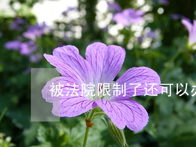 被法院限制了还可以办护照吗(护照还能办吗)