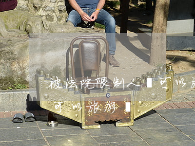 被法院限制人員可以旅游嗎(被法院限制人員可以旅游嗎)