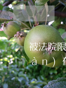 被法院限制可以出國(guó)嗎(現(xiàn)在允許出國(guó)嗎)