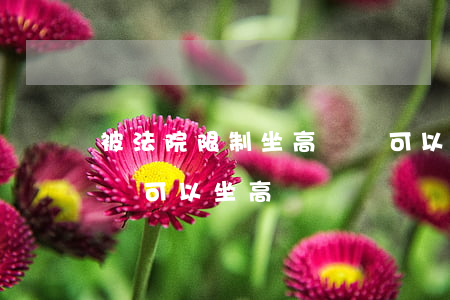 被法院限制坐高鐵還可以坐飛機嗎(被法院起訴可以坐高鐵嗎)