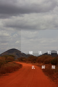 被法院限制消可以坐高鐵嗎(被限制坐高鐵怎么解除)