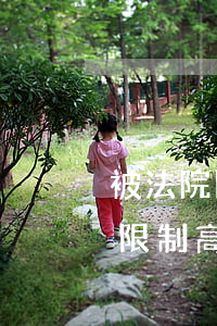 被法院限制消費(fèi)令可以出國嗎(被限制高消費(fèi)能出國嗎)