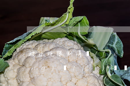 被法院限制消費(fèi)可以坐經(jīng)濟(jì)艙嗎(乘客被法院限制高消費(fèi),禁止乘坐)
