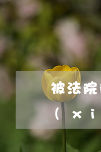 被法院限制消費(fèi)的人可以買保險(xiǎn)嗎(被限制高消費(fèi)的人可以買保險(xiǎn)嗎)