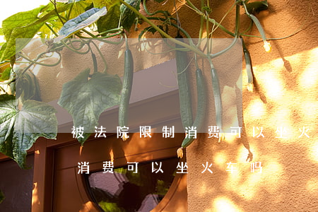 被法院限制消费可以坐火车吗(被法院限制高消费可以坐火车吗)