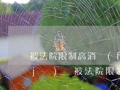 被法院限制高消費(fèi)可以做飛機(jī)嗎(被法院限制高消費(fèi)可以坐飛機(jī)經(jīng)濟(jì)艙嗎)