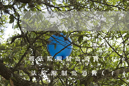 被法院限制高消費(fèi)可以出境嗎(被法院限制高消費(fèi)可以出境嗎)