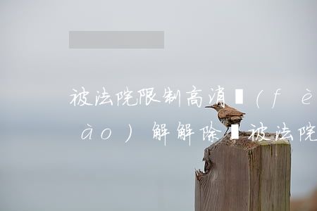 被法院限制高消費(fèi)可以調(diào)解解除嗎(被法院限制高消費(fèi)怎么回事)