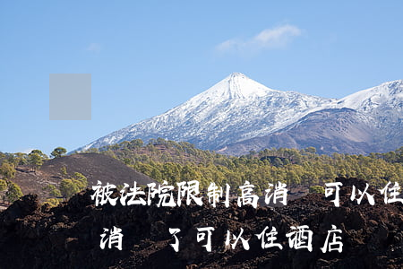 被法院限制高消費可以住旅社嗎(被法院限制消費了可以住酒店嗎)