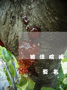 被法院限制高消費可以協(xié)商解決嗎(莫名其妙被法院限制高消費怎么辦)