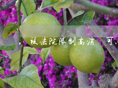 被法院限制高消費可以去游樂園嗎