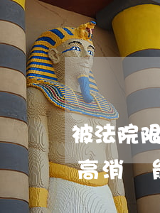 被法院限制高消費可以坐硬臥嗎(被法院限制高消費能坐動車嗎)
