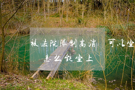 被法院限制高消費可以坐飛機嗎(被限制高消費怎么能坐上飛機)