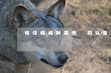 被法院限制高消費可以座高鐵嗎