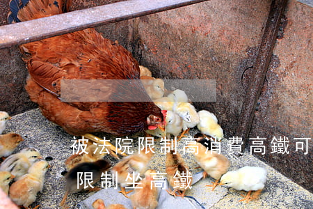被法院限制高消費高鐵可以做嗎(法院為什么限制坐高鐵)