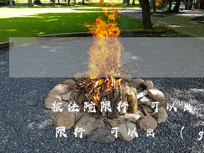 被法院限行還可以出國(guó)嗎(被法院限行還可以出國(guó)嗎)