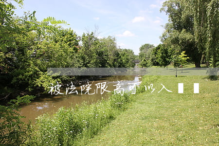 被法院限高可以入黨嗎