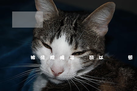 被法院限高還可以辦護照嗎