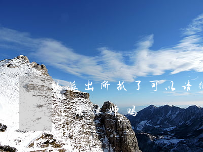 被派出所抓了可以请律师吗(被警察局抓了可以请律师吗)