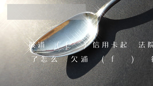 被浦發(fā)信用卡起訴法院也判我敗訴了怎么辦（欠浦發(fā)銀行信用卡被抓）