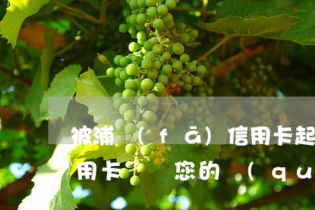 被浦發(fā)信用卡起訴，浦發(fā)信用卡訴訟：您的權(quán)益可能受到侵害，需要了解相關(guān)信息