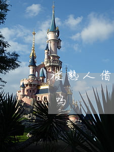 被熟人借信用卡33万不还(欠信用卡3万多吗)