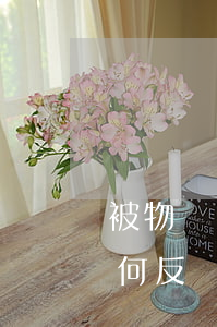 被物業(yè)起訴不交物業(yè)費如何反訴，被物業(yè)起訴不交物業(yè)費如何反訴，怎么寫材料