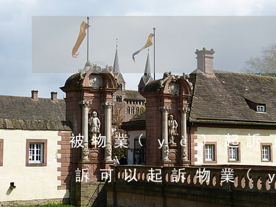 被物業(yè)起訴了如何應(yīng)訴(可以起訴物業(yè)嗎)