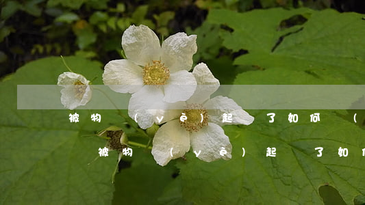 被物業(yè)起訴了如何應(yīng)訴(被物業(yè)起訴了如何應(yīng)訴)