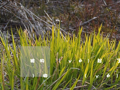 被物業(yè)起訴了還能要求物業(yè)撤訴嗎(業(yè)主起訴撤銷物業(yè)服務(wù)合同)
