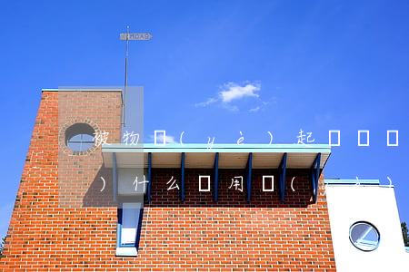 被物業(yè)起訴敗訴后會承擔(dān)什么費用(業(yè)主被物業(yè)起訴,業(yè)主敗訴要給訴訟費嗎?)