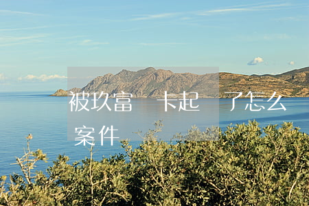 被玖富萬卡起訴了怎么辦(玖富萬卡法院判決案件)