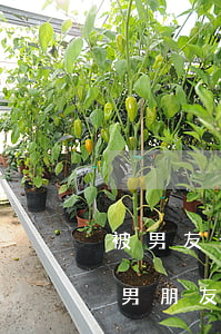 被男友發(fā)現(xiàn)欠信用卡(男朋友知道我欠了很多信用卡)