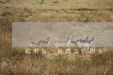 被男友瞞著透支信用卡