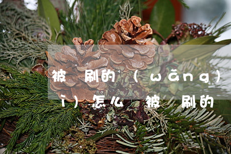 被盜刷的網(wǎng)貸還不起會(huì)怎么樣（被盜刷的網(wǎng)貸還不起）