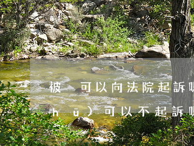 被盜可以向法院起訴嗎(盜竊罪有諒解書(shū)可以不起訴嗎)