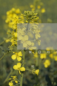 被盜的信用卡透支充q幣(q幣被盜用能否找回)