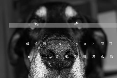 被盜網(wǎng)貸可以起訴嗎(網(wǎng)貸被盜用怎么報警)