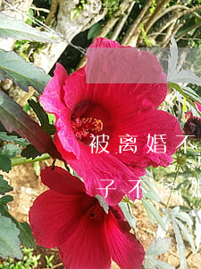 被离婚不离家的男人说为了孩子(男人为了孩子不离婚是真的吗)