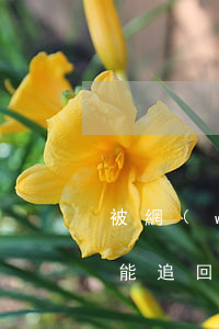 被網(wǎng)絡(luò)詐騙找律師能追回嗎(被詐騙找律師錢可以追回來嗎)