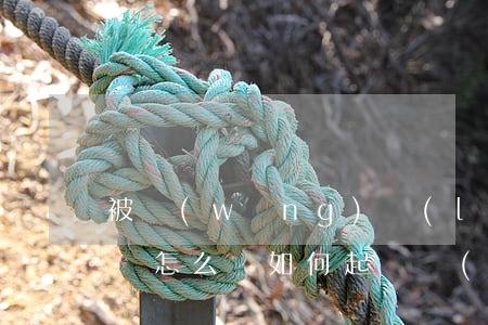被網(wǎng)絡(luò)貸款平臺起訴怎么辦(如何起訴網(wǎng)貸平臺)