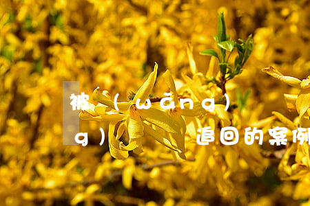 被網(wǎng)絡詐騙追回(被網(wǎng)絡詐騙追回的案例以及概率有多少)