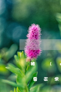 被網(wǎng)貸亂扣費(fèi)還需要正常還款嗎-被網(wǎng)貸亂扣費(fèi)還需要正常還款嗎怎么辦