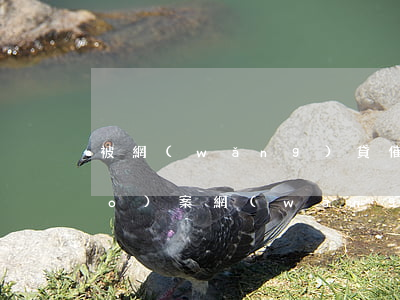 被網(wǎng)貸催收催多久能報(bào)案(網(wǎng)貸催收說(shuō)去公安局報(bào)案)