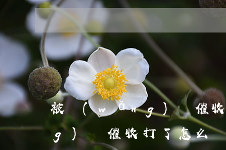 被網(wǎng)貸催收打了(被網(wǎng)貸催收打了怎么處理)