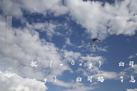 被網(wǎng)貸公司起訴-被網(wǎng)貸公司起訴了怎么辦